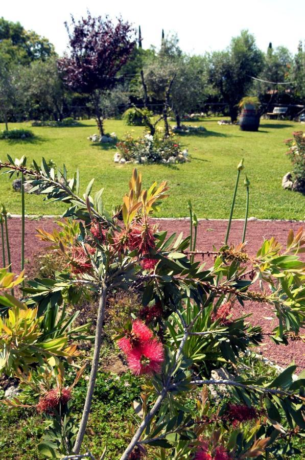 Il Covo Dei Briganti Ξενοδοχείο Latera Εξωτερικό φωτογραφία